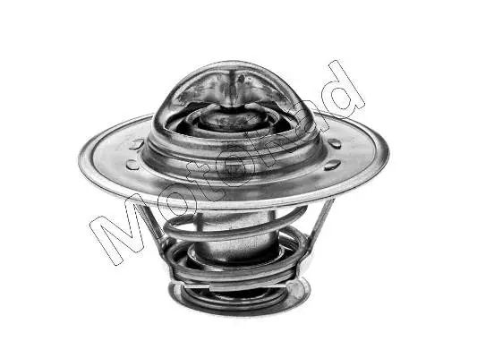 Thermostat, coolant (230-75)