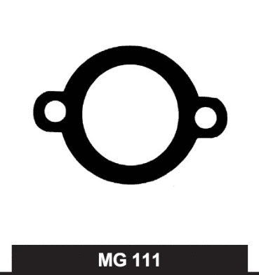 Seal, thermostat (MG111)
