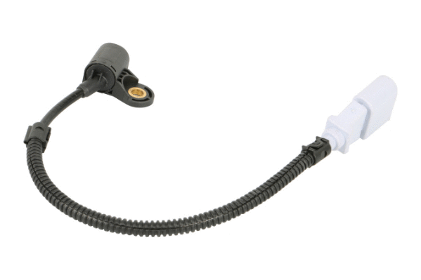 Sensor, camshaft position (1CS523)