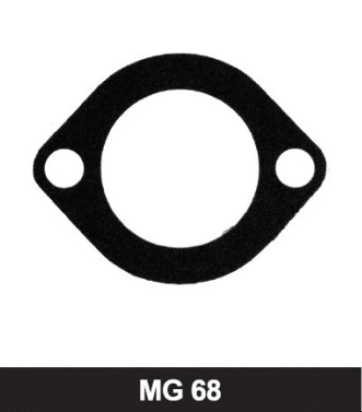 Seal, thermostat (MG68)