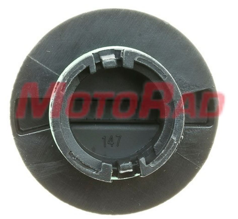 Sealing Cap, oil filler neck