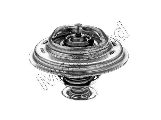 Thermostat, coolant (295-85)