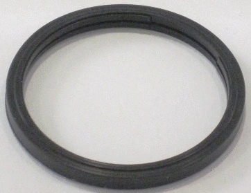 Seal, thermostat (MG513)