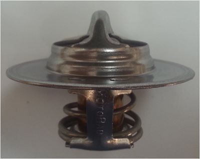 Thermostat, coolant (701-91)