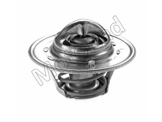 Thermostat, coolant (200-88JK)