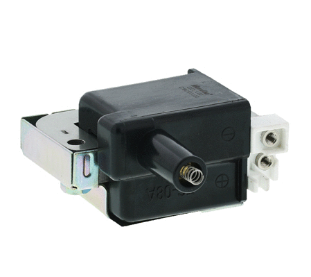 Ignition Coil (2IC120)