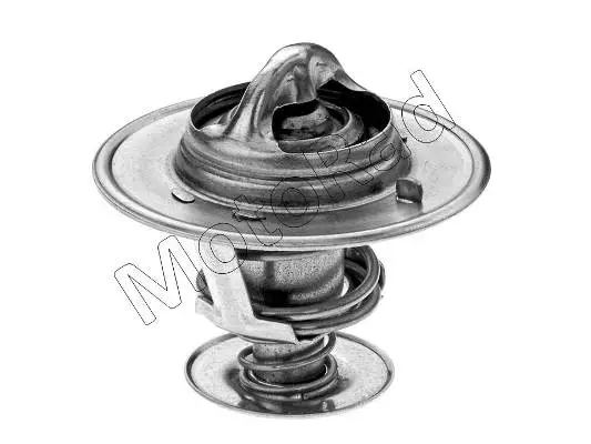 Thermostat, coolant (233-82JK)