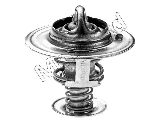 Thermostat, coolant (228-82JK)