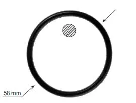 Seal, thermostat (MG22)