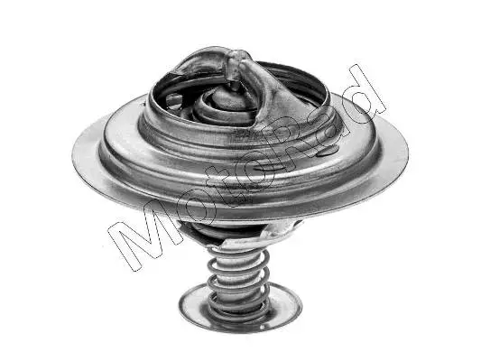 Thermostat, coolant (286-88)