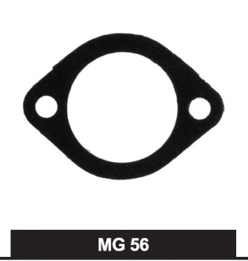 Seal, thermostat (MG56)