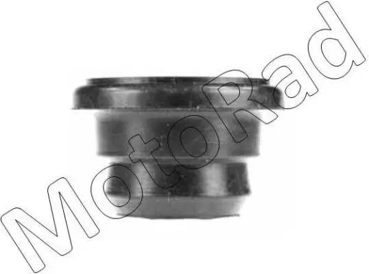 Sealing Cap, oil filler neck (MO72)