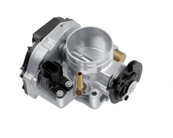 Throttle Body (GI7025)