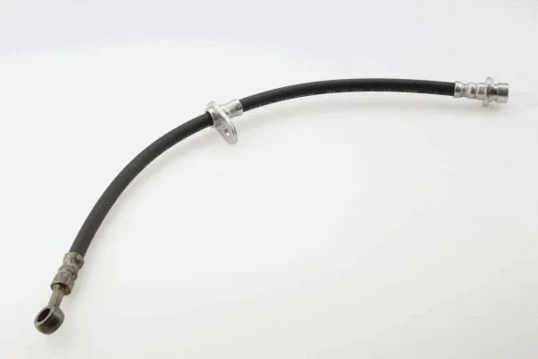 Brake Hose (40068900)