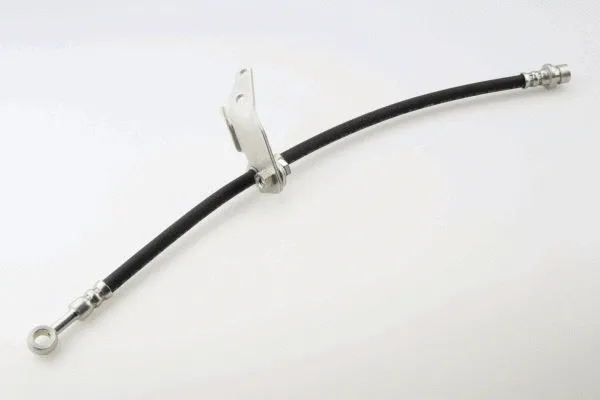 Brake Hose (40076600)