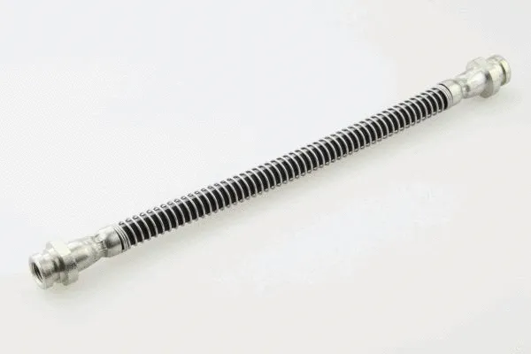 Brake Hose (40017800)