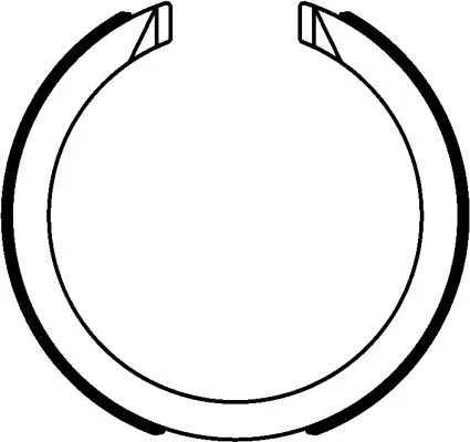 Brake Shoe Set, parking brake (91077600)