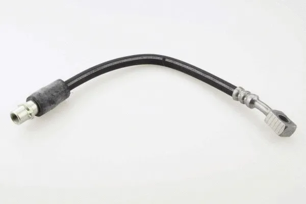 Brake Hose (40031800)