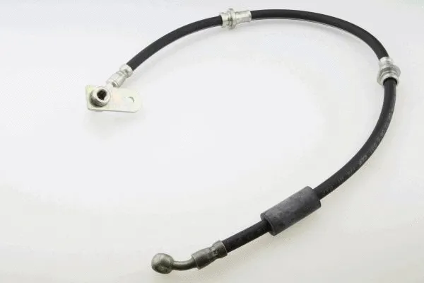 Brake Hose (40100800)