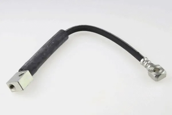 Brake Hose (40036900)