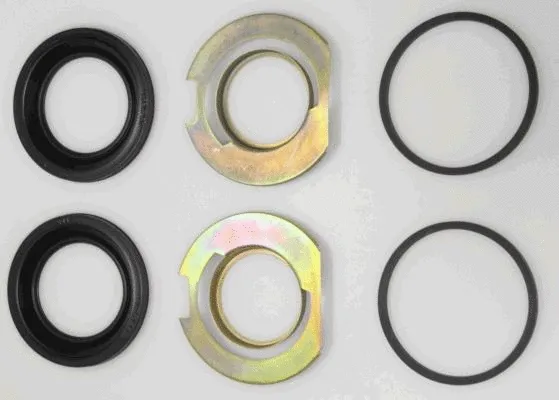 Seal Kit, brake caliper (46011000)