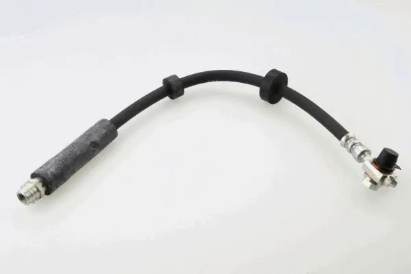 Brake Hose (40055400)