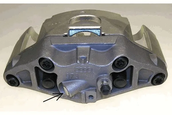 Brake Caliper (38200900)