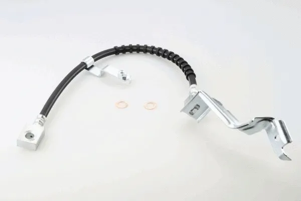 Brake Hose (40082500)