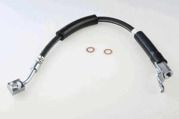 Brake Hose (40073300)