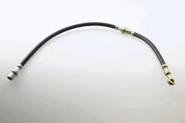 Brake Hose (40091100)