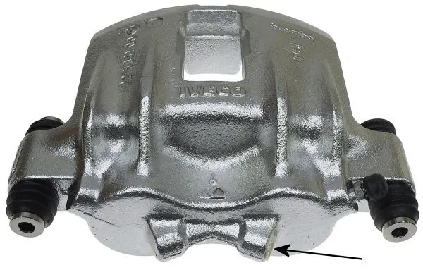 Brake Caliper (38100900)