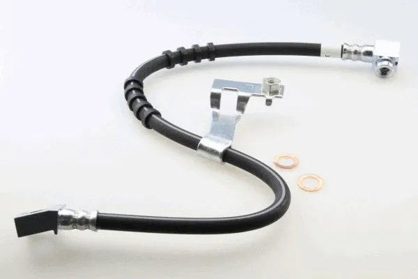 Brake Hose (40092700)