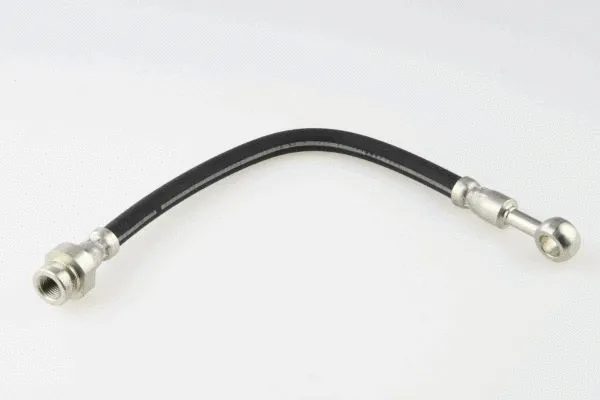 Brake Hose (40025200)