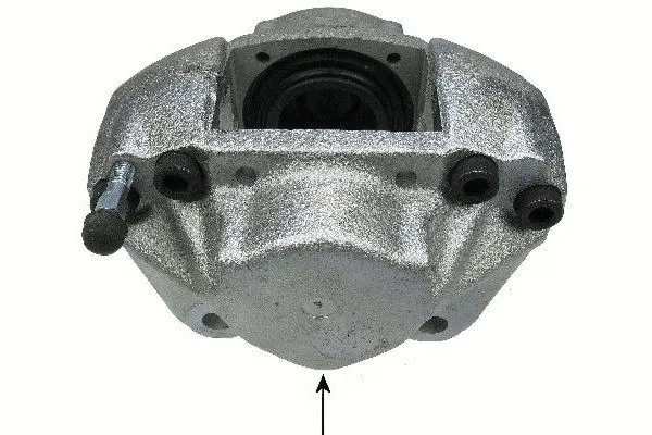 Brake Caliper (38209400)