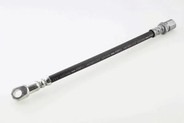 Brake Hose (40019100)