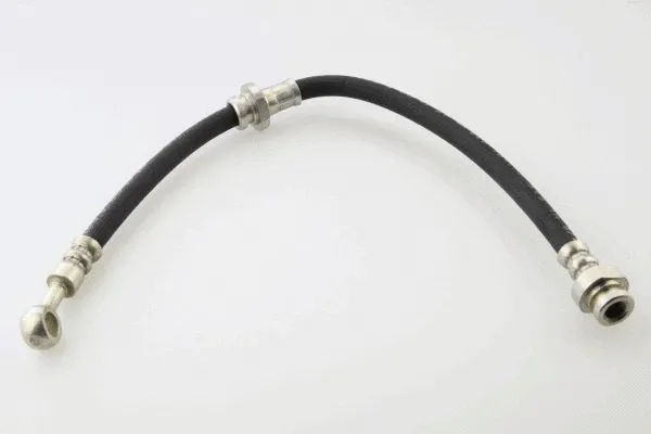 Brake Hose (40058300)
