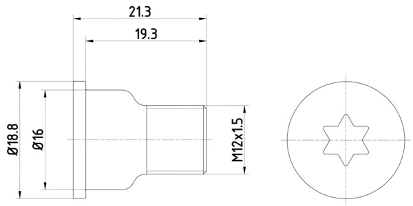 Bolt, brake disc (TPM0005)