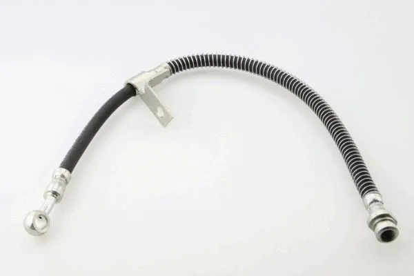 Brake Hose (40085800)