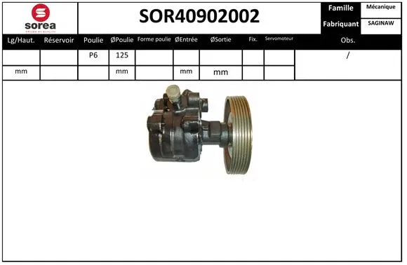 Hydraulic Pump, steering (SOR40902002)