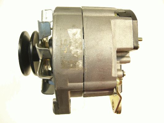 Alternator (RF31991G)