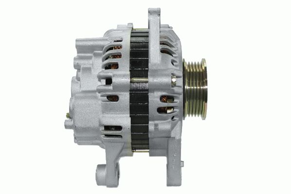 Alternator (RF51556G)