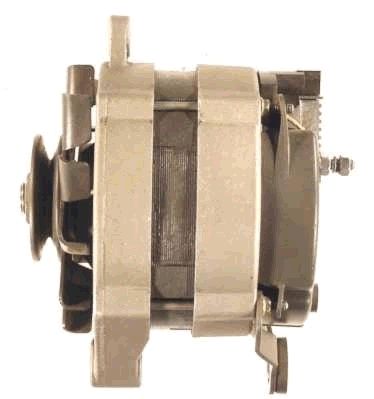 Alternator (RF32361G)