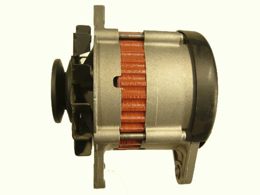 Alternator (RF51111G)