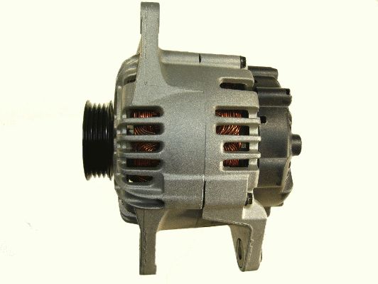 Alternator (RF51561G)