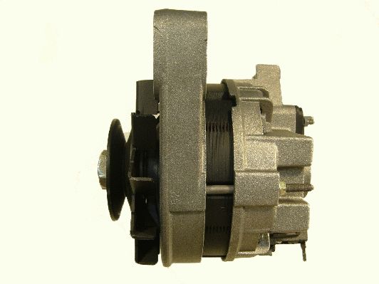 Alternator (RF30490G)