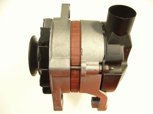 Alternator (RF30980G)