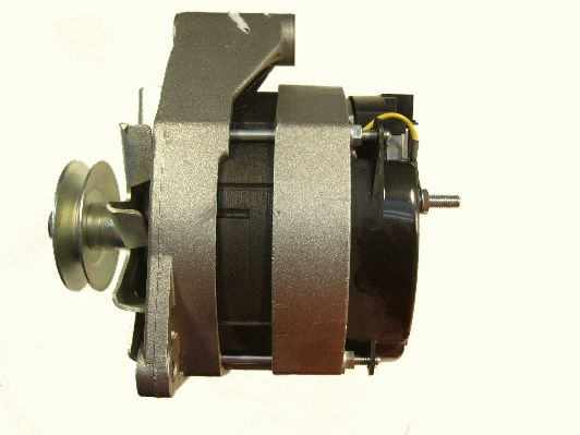Alternator (RF31831G)