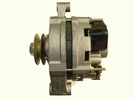 Alternator (RF31911G)