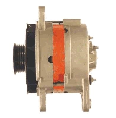 Alternator (RF51248G)