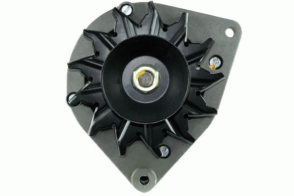 Alternator (RF30470G)